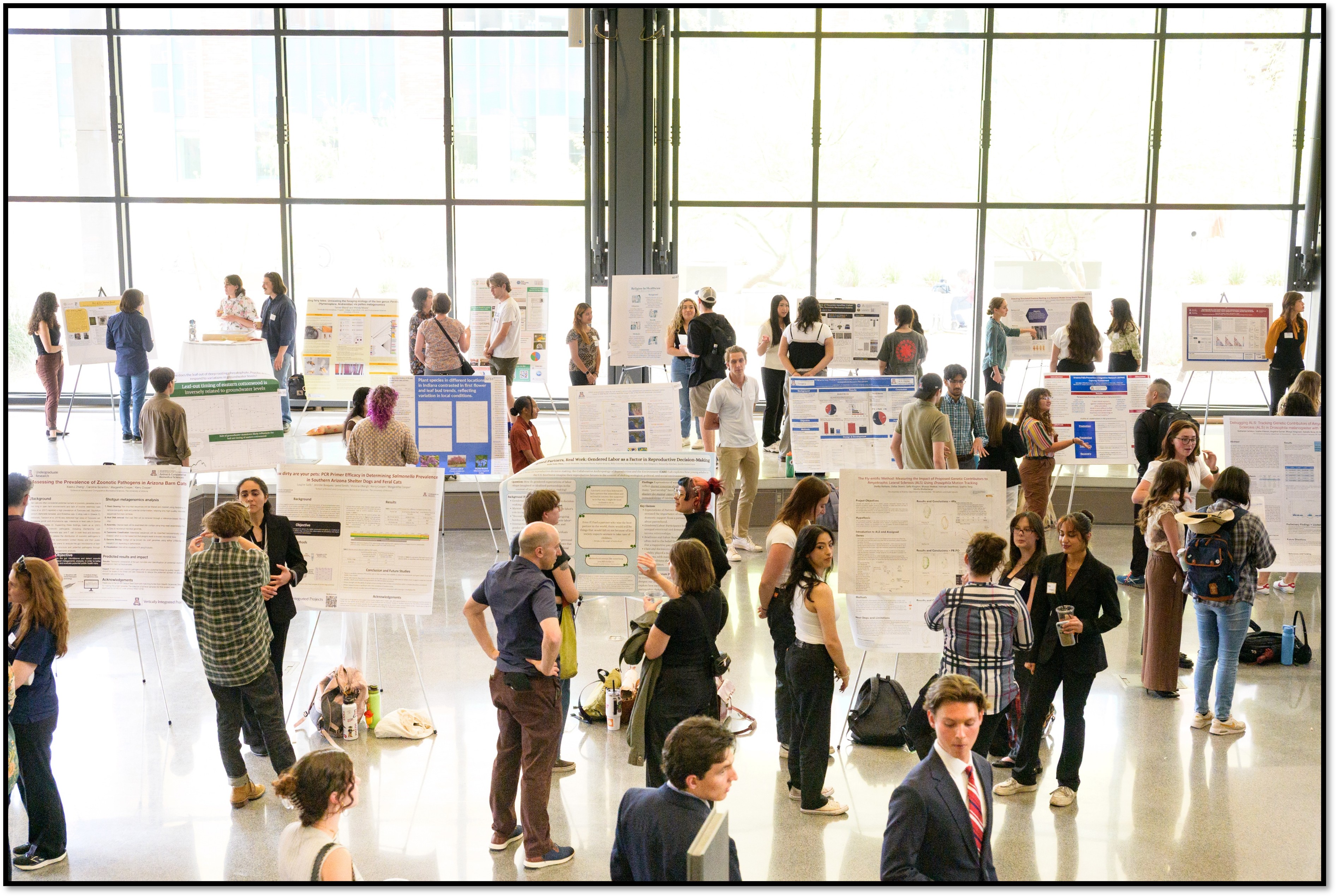 Undergraduate Research Travel Grants: Presenting Your Work