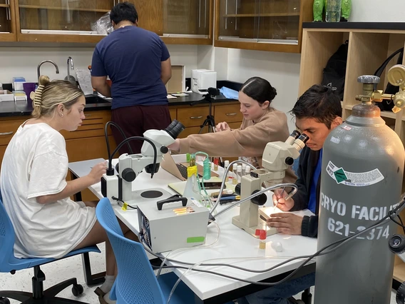 Martha Bhattacharya Lab