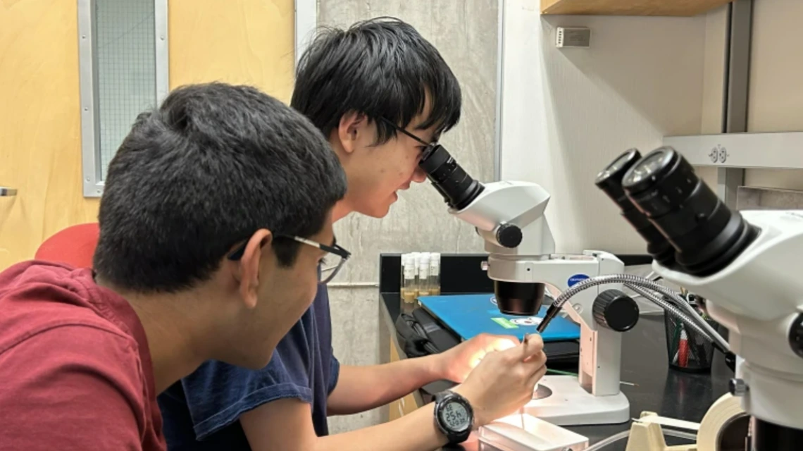 Two students conducting research with a microscope