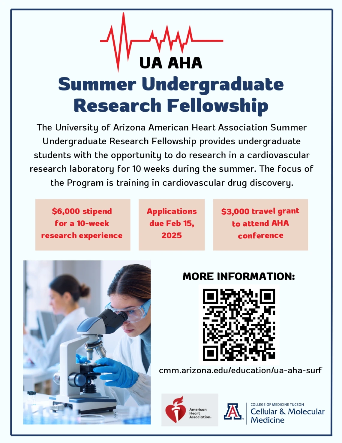 UA AHA Summer Undergraduate Research Fellowship Flyer - Applications due Feburary 15th 2025