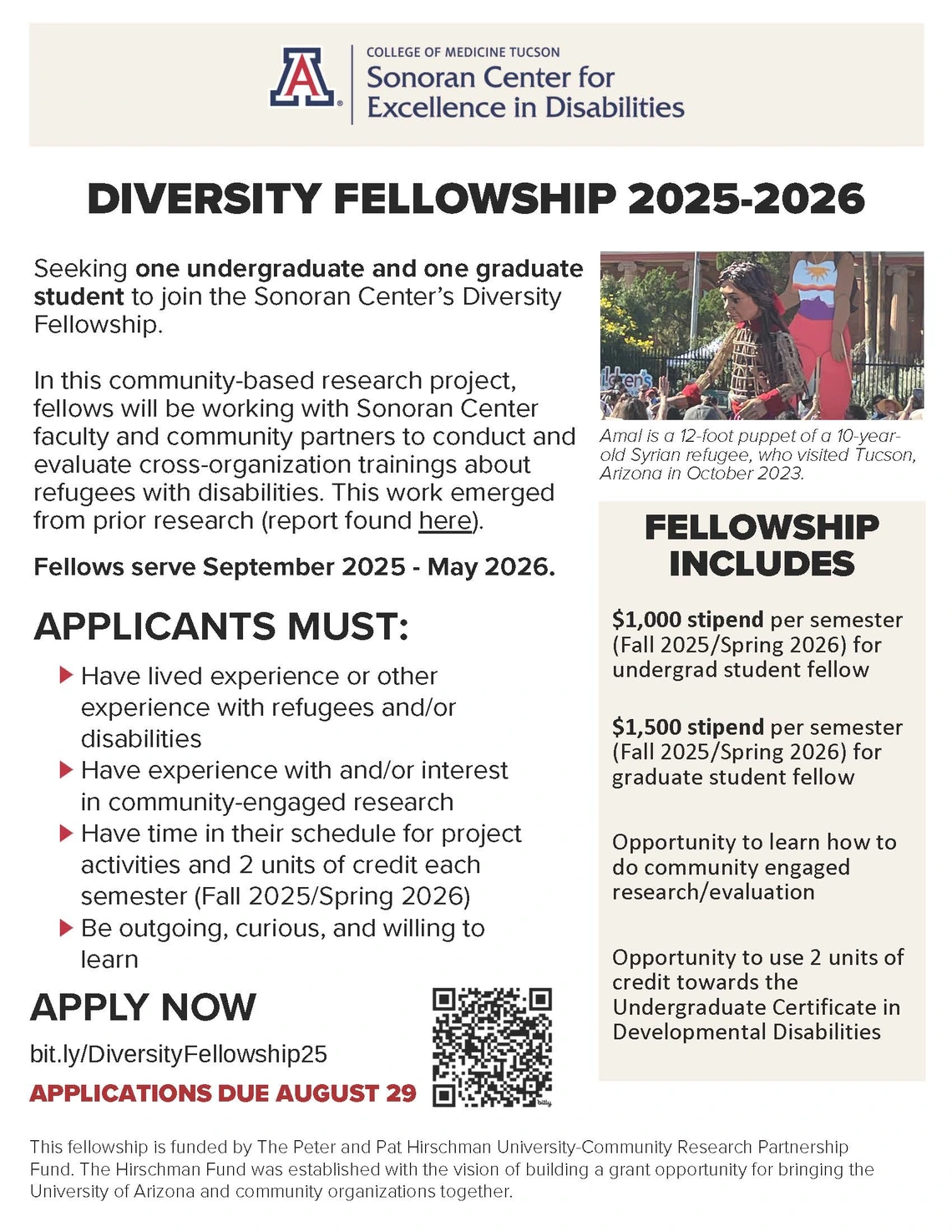 Diversity Fellowship 2025-2026