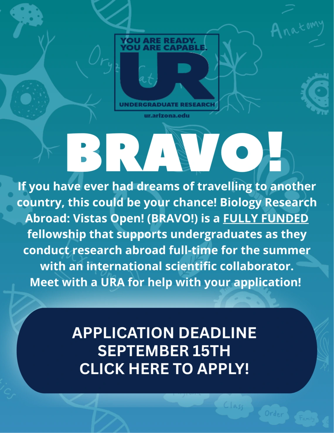 Bravo poster showing applications are due September 15.  Click link to read full informational text.