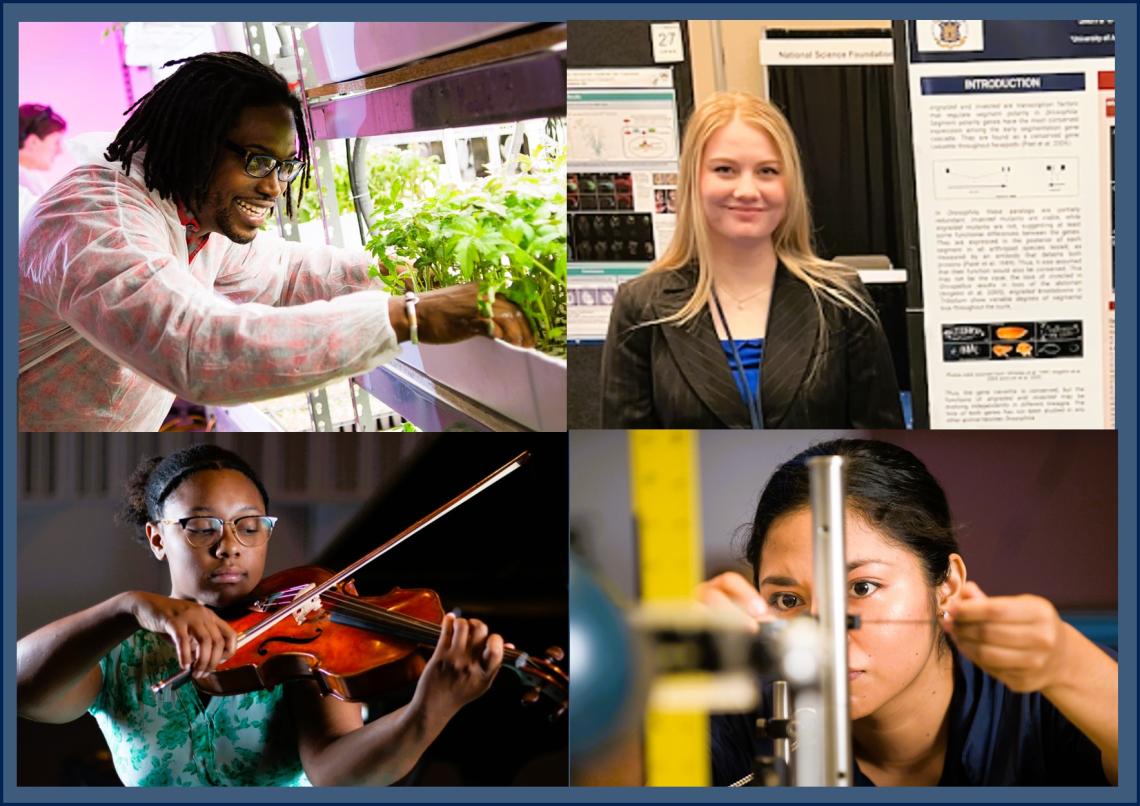 Four students are shown conducting research in different projects in the arts and sciences